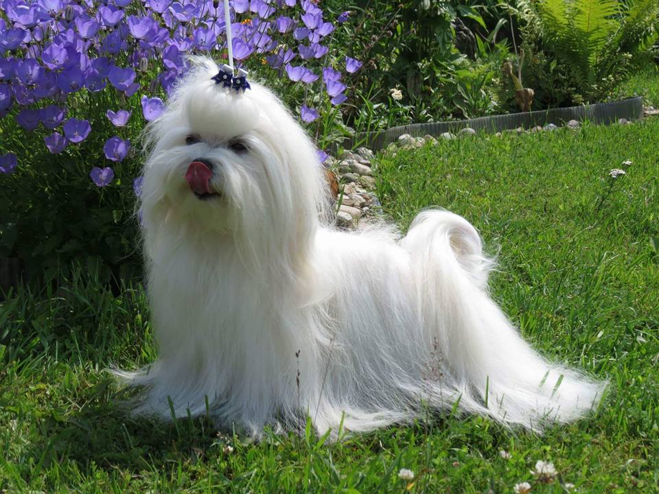 513262069 23900791866253439 3049157282926540786 n