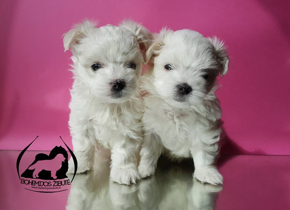 514142341 23905035045829121 5679589438583782237 n