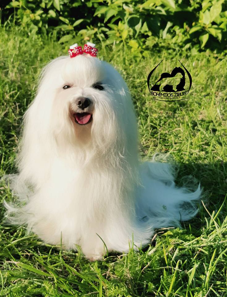 514260290 23915833798082579 5766049487673145298 n