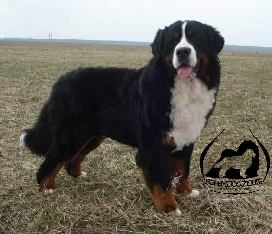 514322996 23909998461999446 4714170562810333346 n