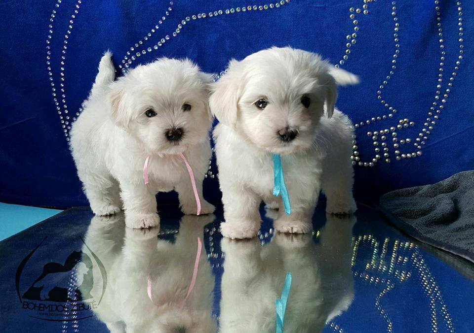 514423487 23920226590976633 3464902365763965569 n