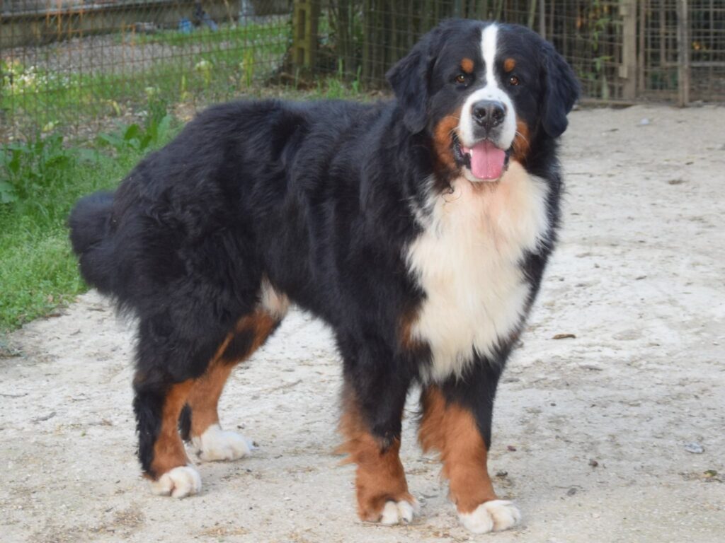 Čempionai 514509641 23931388679860424 5420526676252447580 n