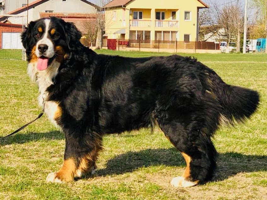 Čempionai 72615937 1191821397671016 1809906395424751616 n