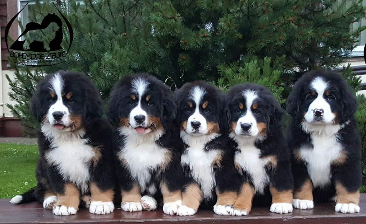 fb img 1511631068974