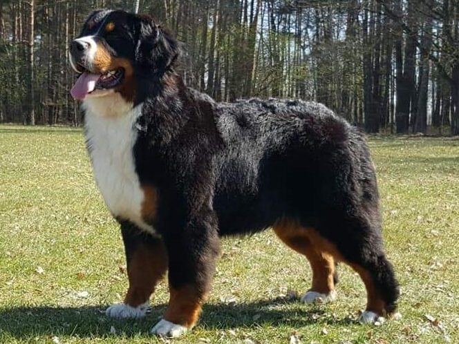 fb img 1555788867218