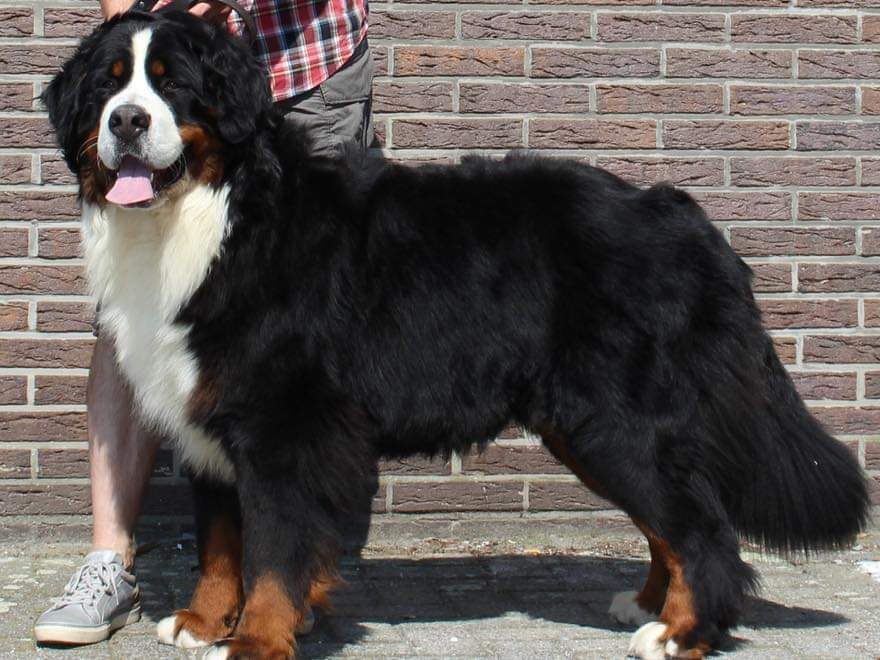 fb img 1598301361402