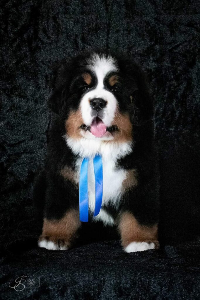 fb img 1646289339835