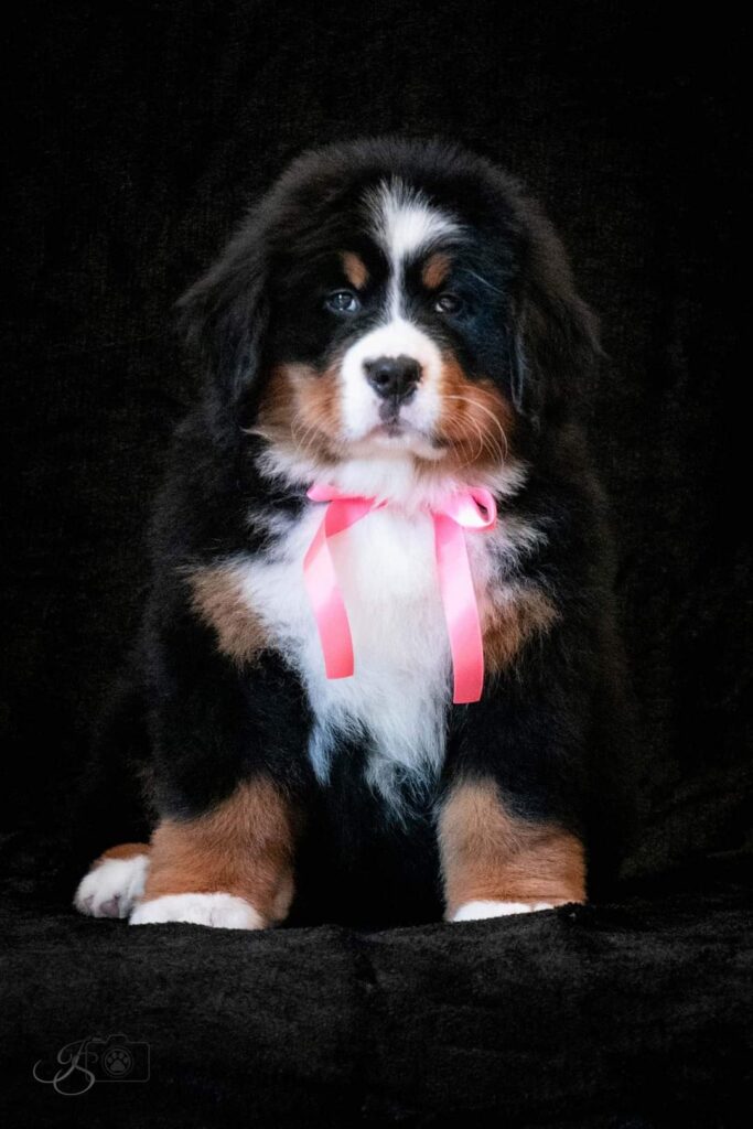 fb img 1646289342061