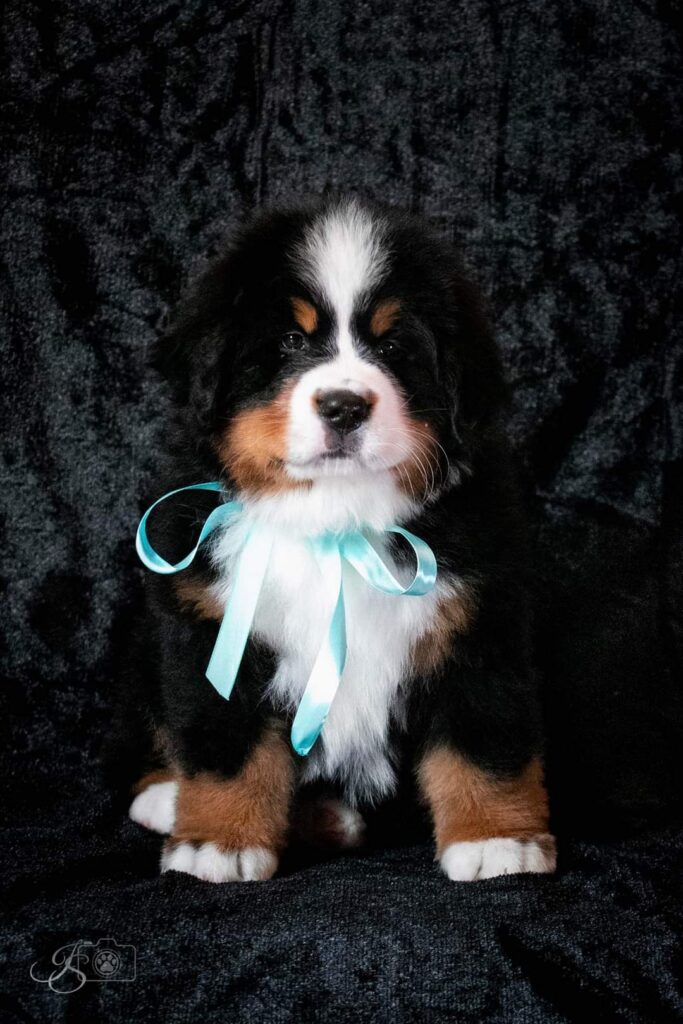 fb img 1646289344935