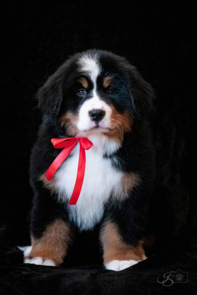 fb img 1646289346981