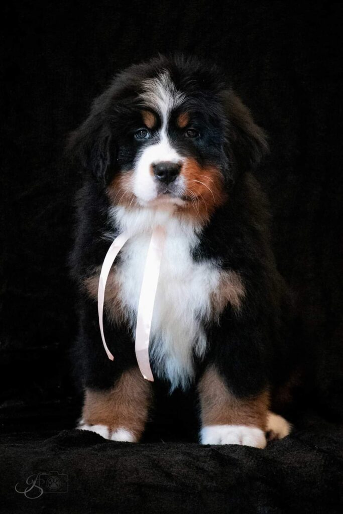 fb img 1646289352199