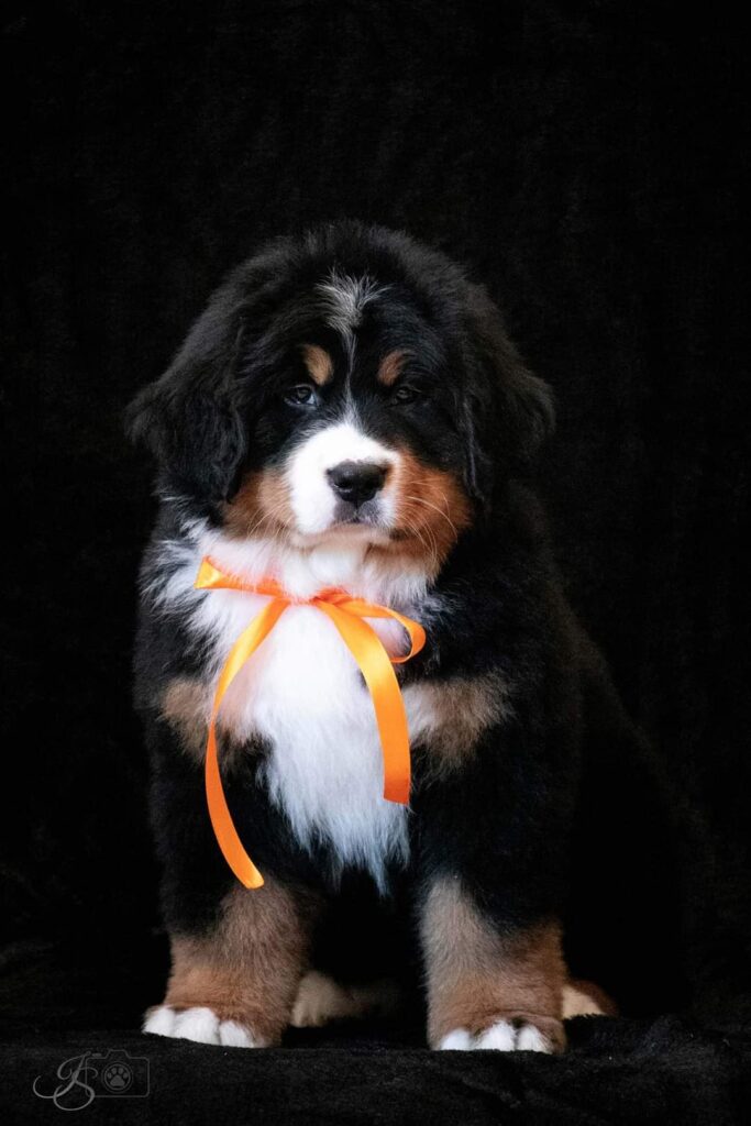 fb img 1646289354279