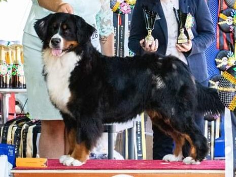 Čempionai fb img 1689784756896